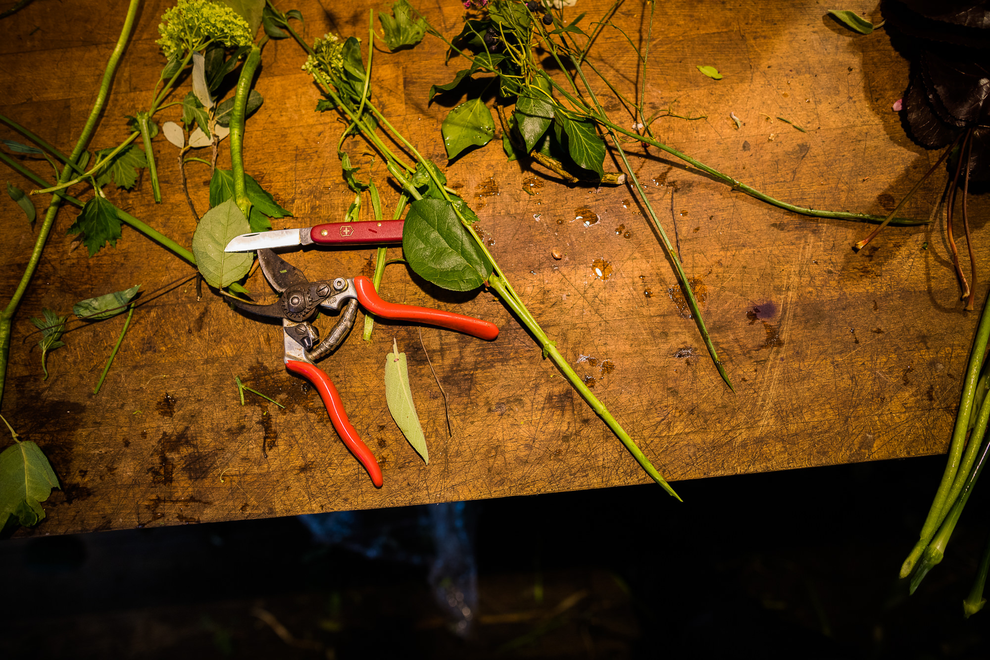 Export x3 5D4 9432 Businessauftrag 2017 Blattform Aarau